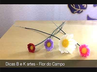 Flor do Campo