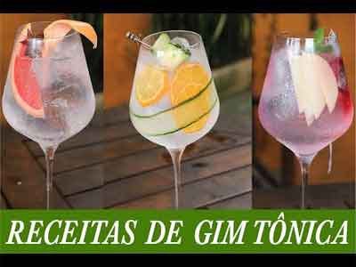3 receitas de Gin Tnica