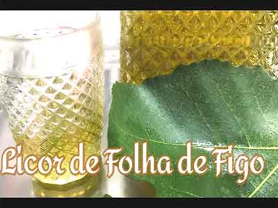 Licor de Folha de Figo