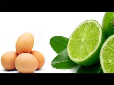 Licor de Ovos e Lim�o
