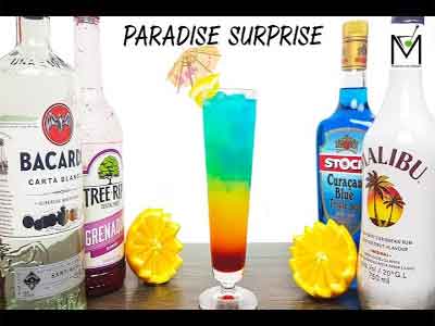 Paradise Surprise