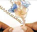 15 anos de Debutante: foto 12