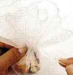 15 anos de Debutante: foto 14