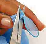 15 anos de Debutante: foto 4