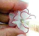 Porta-Cartões: foto 14