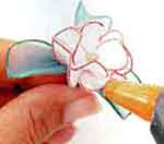 Porta-Cartões: foto 15