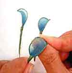 Porta-Cartões: foto 7