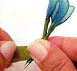 Porta-Cartões: foto 8