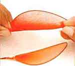 Flores com Beleza: foto 3