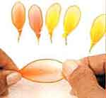 Flores com Beleza: foto 4