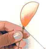 Flores com Beleza: foto 5