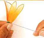 Flores com Beleza: foto 6