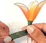 Flores com Beleza: foto 8