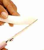 Bananeira luxo: foto 1