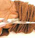 Bananeira luxo: foto 3