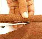 Bananeira luxo: foto 6