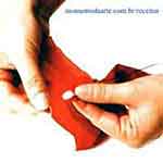 Vaso com Arranjo: foto 13 Vaso com Arranjo: foto 13