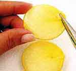 Patinha Fofa: foto 13