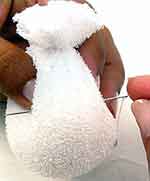 Coelhinha Surpresa: foto 3