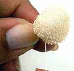 Coelhinha Surpresa: foto 4