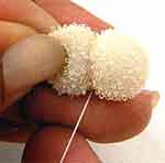 Coelhinha Surpresa: foto 5