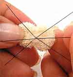 Coelhinha Surpresa: foto 6