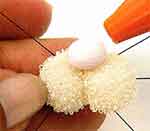 Coelhinha Surpresa: foto 8