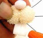 Coelhinha Surpresa: foto 9 Coelhinha Surpresa: foto 9