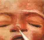 Moleque a Lá Prima: foto 23