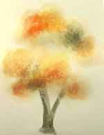 Árvore: Efeito Chuva: foto 5