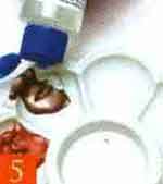 Pintura em Tela Deco: foto 5