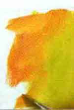 Pintura em Tela Deco: foto 9