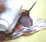 Quadro com Barco: foto 5