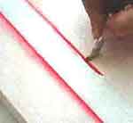 Quadro com Rosas: foto 11