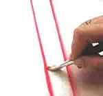 Quadro com Rosas: foto 12