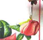 Quadro com Rosas: foto 14