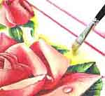 Quadro com Rosas: foto 15