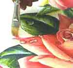 Quadro com Rosas: foto 16