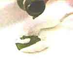 Quadro com Rosas: foto 18