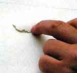 Quadro Infantil: foto 4