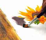 Quadro Girassóis: foto 18