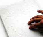 Quadro Girassóis: foto 13