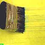 border: foto 4 border: foto 4