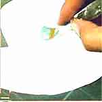 Carrinho de Chá: foto 9