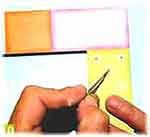 Porta-Retratos: foto 10