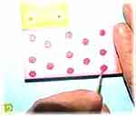 Porta-Retratos: foto 12