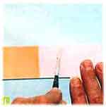 Porta-Retratos: foto 4