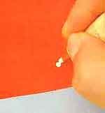 Mesa Formato Flor: foto 10