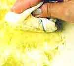 Jogo de Sousplat: foto 3