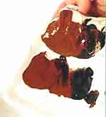 Porta-jóias: foto 2